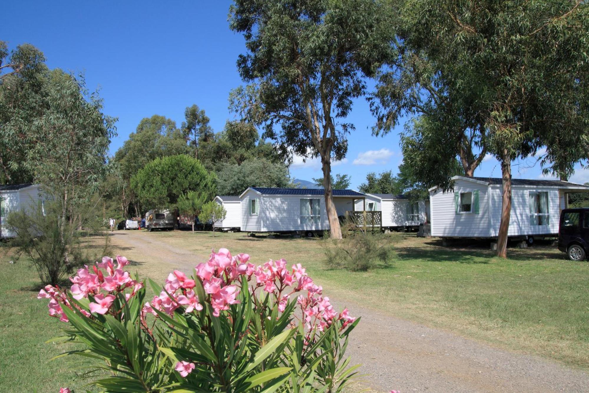 מלון Poggio Mezzana Camping Miami Plage מראה חיצוני תמונה