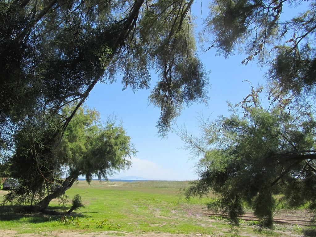 מלון Poggio Mezzana Camping Miami Plage מראה חיצוני תמונה