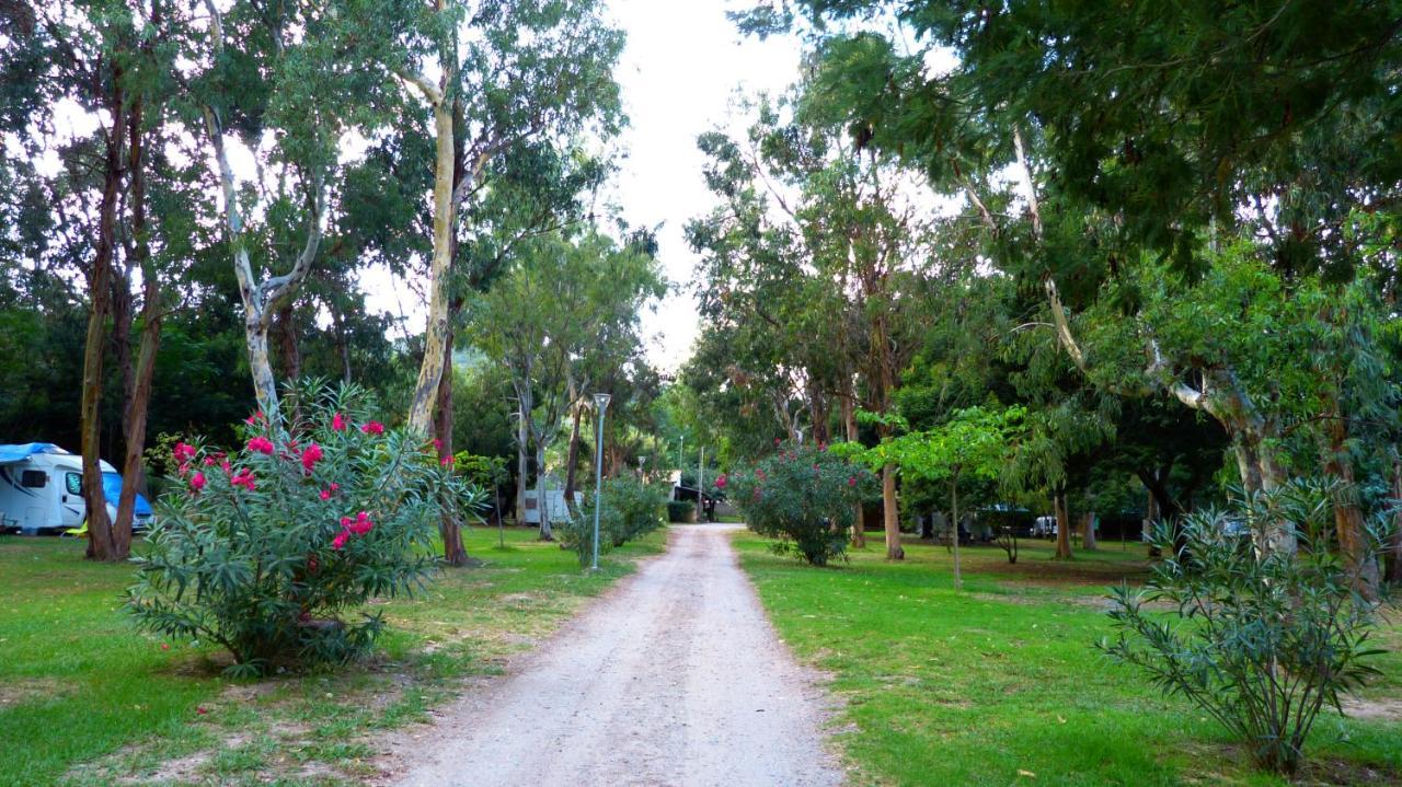 מלון Poggio Mezzana Camping Miami Plage מראה חיצוני תמונה